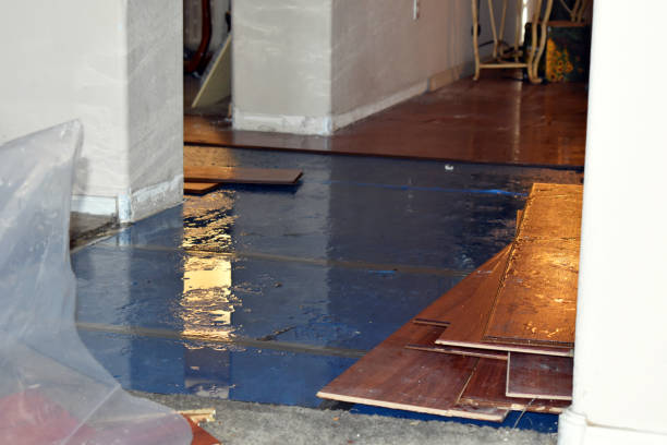 Professional Basement Flood Cleanup technician working in Crouse, NC